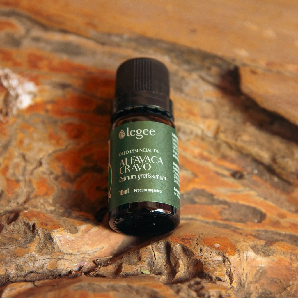 Óleo essencial de Alfavaca Cravo (Ocimum gratissimum) ORGÂNICO - 10ml - Legee
