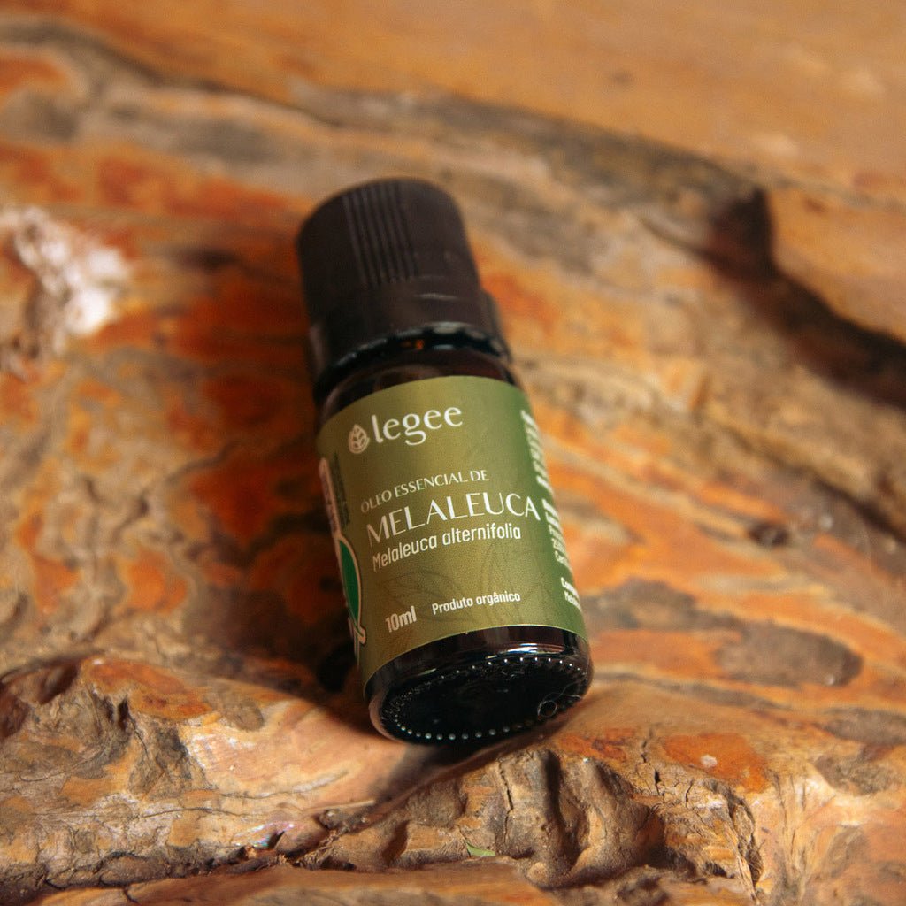 Óleo essencial de Melaleuca (Melaleuca alternifolia) ORGÂNICO - 10mL - Legee