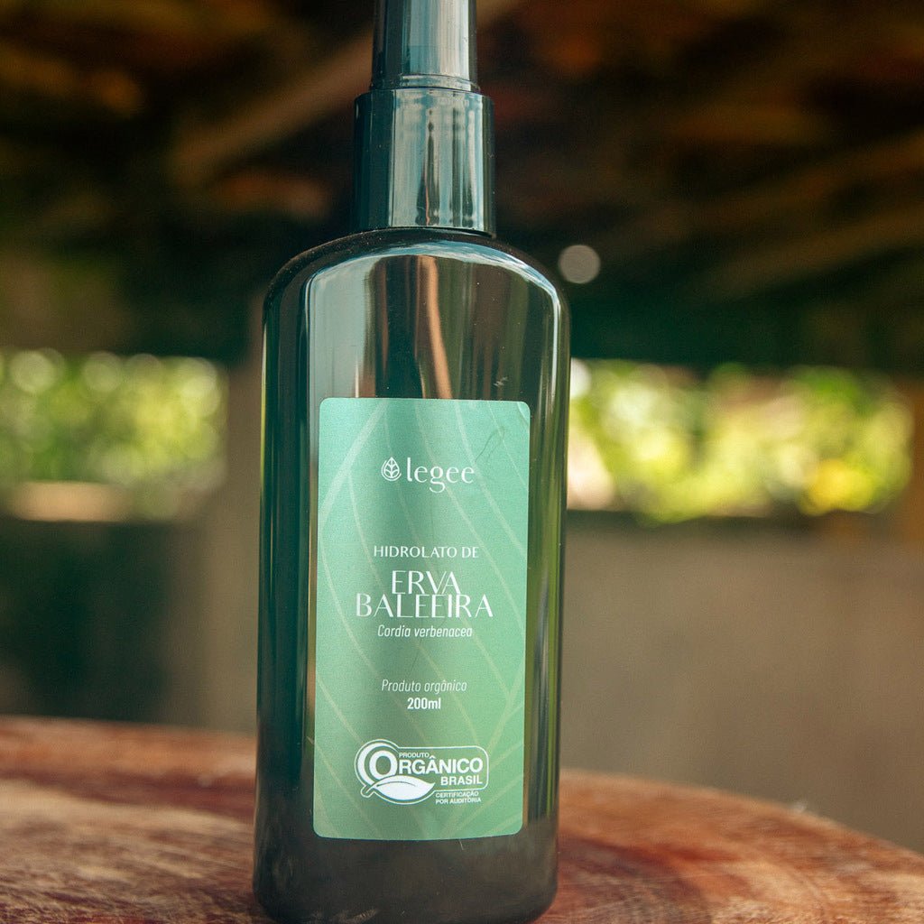 Hidrolato de Erva Baleeira (Cordia verbenacea) ORGÂNICO - 200mL - Legee