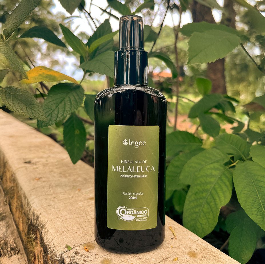 Hidrolato de Melaleuca (Melaleuca alternifolia) ORGÂNICO - 200mL - Legee