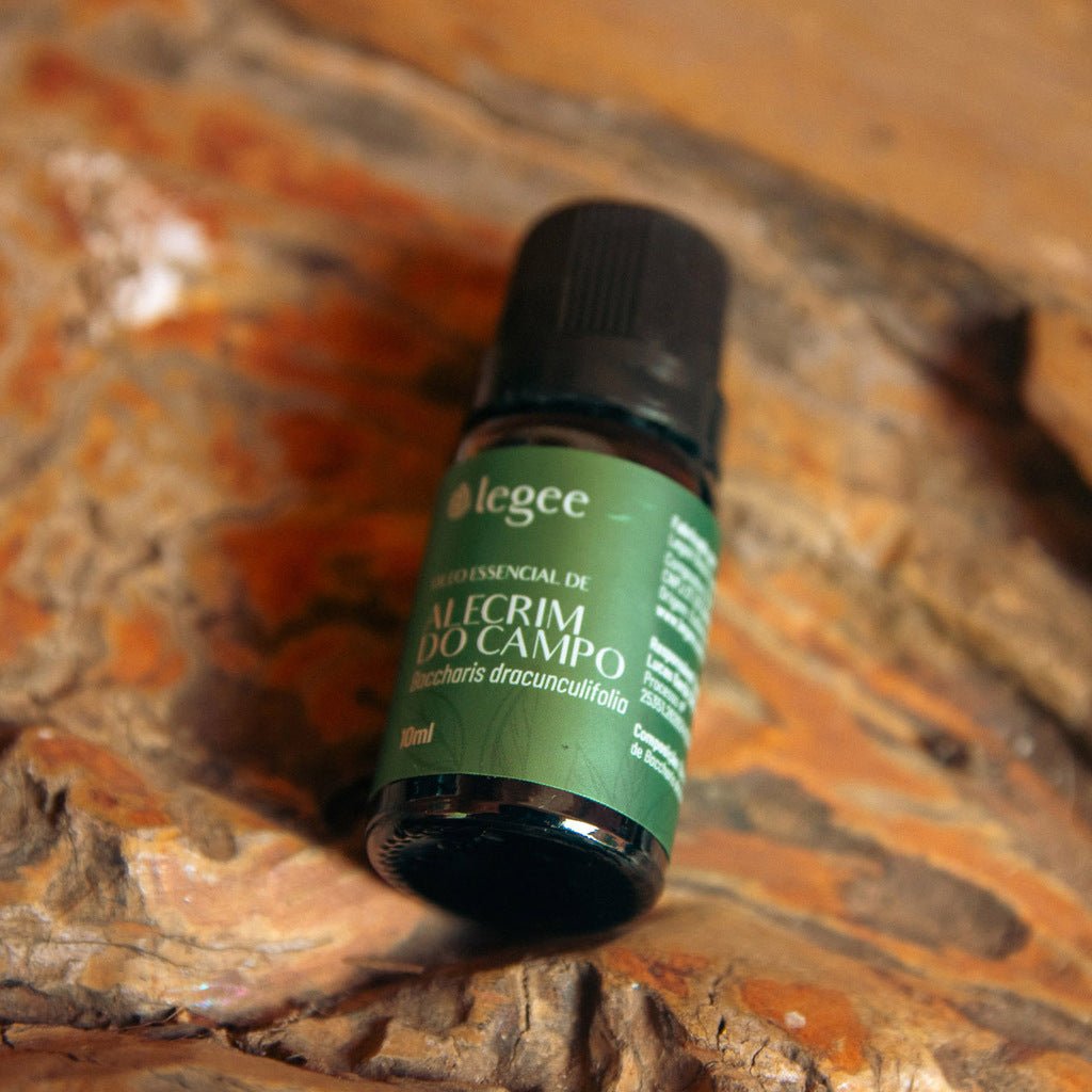 Óleo essencial de Alecrim do Campo (Baccharis dracunculifolia) - 10mL - Legee