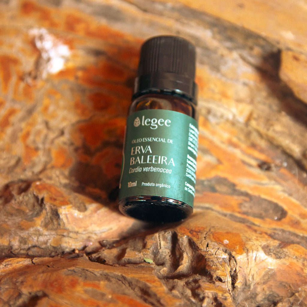 Óleo essencial de Erva Baleeira (Cordia verbenacea) ORGÂNICO - 10mL - Legee