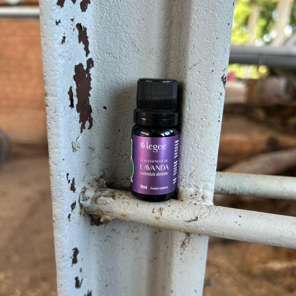 Óleo essencial de Lavanda Brasileira (Lavandula dentata) ORGÂNICO - 10mL - Legee